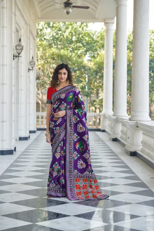 Wine Patola Weaving Silk Saree - BUYON