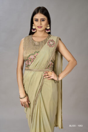 Light Green Georgettes With Delicate Embroidery Saree