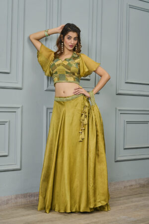 Olive Green Organza Heavy Embroidery Lehenga - BUYON