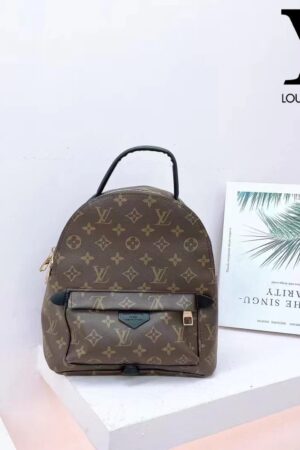 Louis Vuitton Palm Springs Backpack Mini