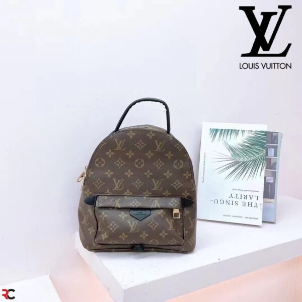 Louis Vuitton Palm Springs Backpack Mini